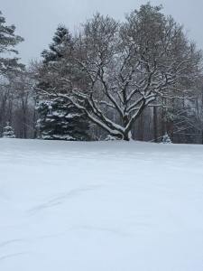 from Cheryl Leone, South Tamaqua, West Penn