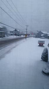 from Cindy Rascavage, SR309, West Penn