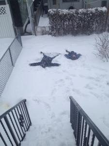 from Holly Becker, Shenandoah (1)