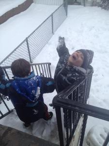 from Holly Becker, Shenandoah