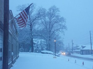 from Michelle Germann-Green, Tamaqua (3)