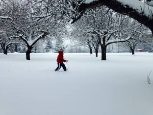 from Paula Edna Breiner, Tamaqua (2)