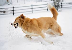 from Susan Chickilly Sidoriak, Tamaqua (2)