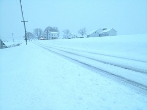 from Tracy Davis, Lewistown Valley