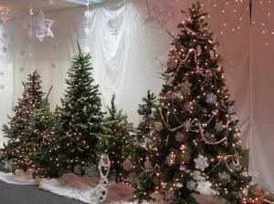 Frozen Day, from Karen Tharp, West Penn Elementary School, TASD, West Penn, 12-23-2014 (4)