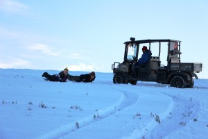 Kids Sledding, Kleckner's Hill, New Ringgold, West Penn, 1-24-2015 (3)