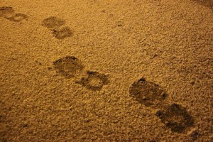 Pictured are footsteps in fallen sleet on the sidewalk on North Greenwood Street.