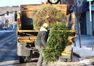 A borough workers places a tree on the back of a municipal truck on West Broad Street.