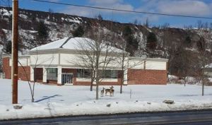 Roaming Deer, by Michelle Germann-Green, old CVS building, East Broad Street, Tamaqua, 2-17-2015 ( - Copy (4)