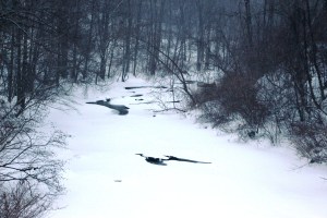Snow Photos, Little Schuylkill River, Along SR309, Tamaqua, 2-21-2015 (12)