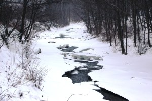 Snow Photos, Little Schuylkill River, Along SR309, Tamaqua, 2-21-2015 (4)