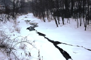 Snow Photos, Little Schuylkill River, Along SR309, Tamaqua, 2-21-2015 (6)