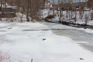 Snow Photos, Tamaqua, 2-23-2015 (36)