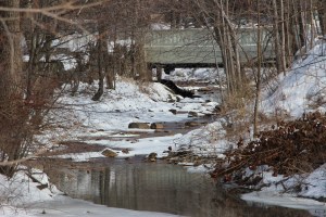 Snow Photos, Tamaqua, 2-23-2015 (39)