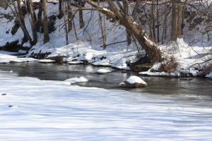 Snow Photos, Tamaqua, 2-23-2015 (47)