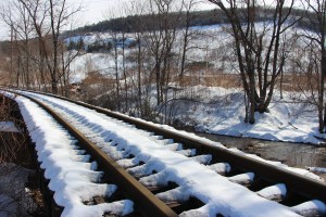 Snow Photos, Tamaqua, 2-23-2015 (54b) (3)
