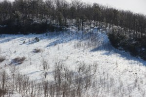 Snow Photos, Tamaqua, 2-23-2015 (60)