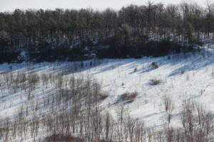 Snow Photos, Tamaqua, 2-23-2015 (61)