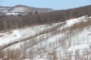 Snow Photos, Tamaqua, 2-23-2015 (70)