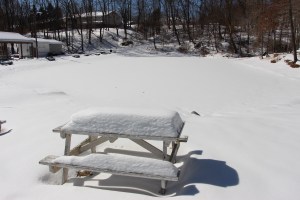 Snow Photos, Tamaqua, 2-23-2015 (76)