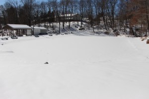 Snow Photos, Tamaqua, 2-23-2015 (77)