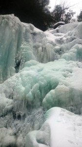 Special to TamaquaArea.com / Jason Applegate