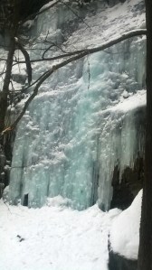 Special to TamaquaArea.com / Jason Applegate