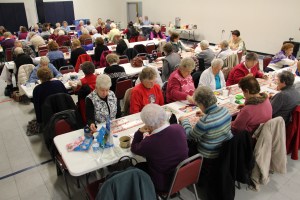 Tamaqua Seniors, Tamaqua YMCA, Tamaqua, 1-29-2015 (16)