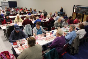 Tamaqua Seniors, Tamaqua YMCA, Tamaqua, 1-29-2015 (8)