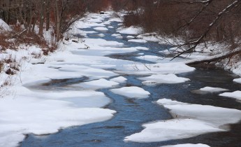View of Little Schuylkill River from Elm Street Bridge, Tamaqua, 2-3-2015 (10)