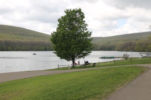 Views of Locust Lake State Park, Barnesville, 5-18-2015 (12)
