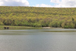 Views of Locust Lake State Park, Barnesville, 5-18-2015 (3)