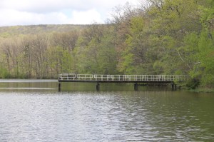 Views of Locust Lake State Park, Barnesville, 5-18-2015 (6)