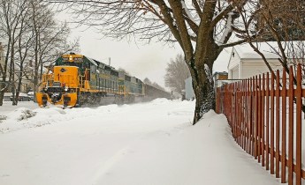 Special to TamaquaArea.com / Jeff Knadler