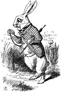 Image from Wikipedia.com