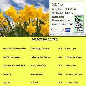 3-24-2015, Direct Sale Daffodil Sale sites, ACS
