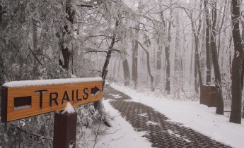 Special to TamaquaArea.com