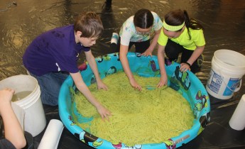 DARE Challenge, 2-4 PM, Elementary School, Tamaqua, 3-7-2015 (35)