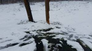 Driver Snaps Pole, from Diesel, SR54, Village of Hauto, 3-20-2015 (2)