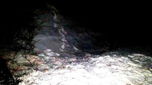 Driver Taken Into Custody After Crash, Wildcat Road, SR443, Walker Township, 3-2-2015 (3)