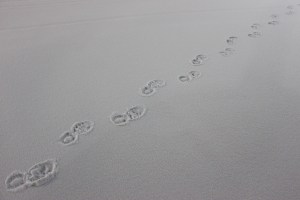 Foot Prints, Tracks, in Snow, Sleet, Parking Lot, Hometown Commons, Hometown, 3-3-2015 (2)