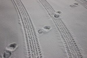 Foot Prints, Tracks, in Snow, Sleet, Parking Lot, Hometown Commons, Hometown, 3-3-2015 (28)