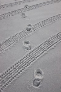 Foot Prints, Tracks, in Snow, Sleet, Parking Lot, Hometown Commons, Hometown, 3-3-2015 (33)