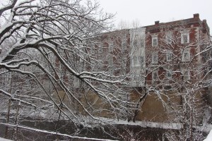 Last Snow Photos, Around Tamaqua, 3-20-2015 (13)