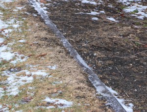 Photo Quest, 3-18-2015 (1)