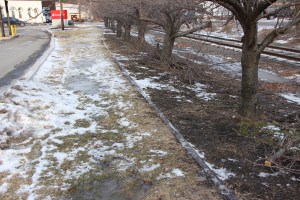 Photo Quest, 3-18-2015 (2)