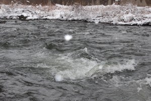 Snow Melting, Little Schuylkill River, Tamaqua, 3-20-2015 (7)