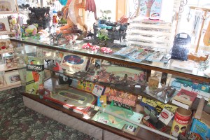 Story about The Nature And Discovery Store, New Ringgold, 2-28-2015 (33)