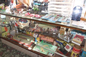 Story about The Nature And Discovery Store, New Ringgold, 2-28-2015 (34)