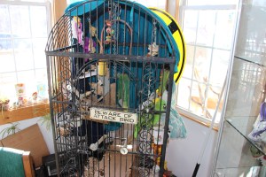 Story about The Nature And Discovery Store, New Ringgold, 2-28-2015 (37)